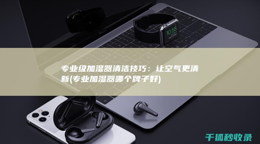 专业级加湿器清洁技巧：让空气更清新 (专业加湿器哪个牌子好)