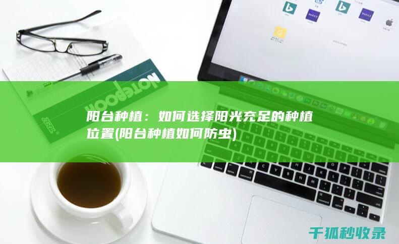 阳台种植：如何选择阳光充足的种植位置 (阳台种植如何防虫)