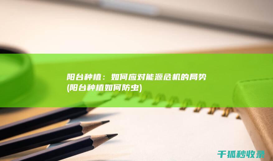 如何应对能源危机的局势