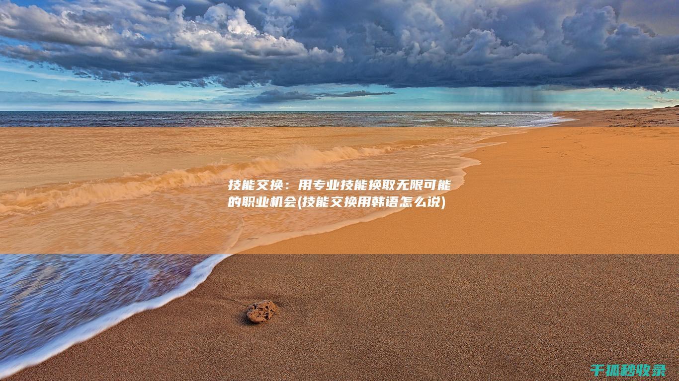 技能交换：用专业技能换取无限可能的职业机会 (技能交换用韩语怎么说)