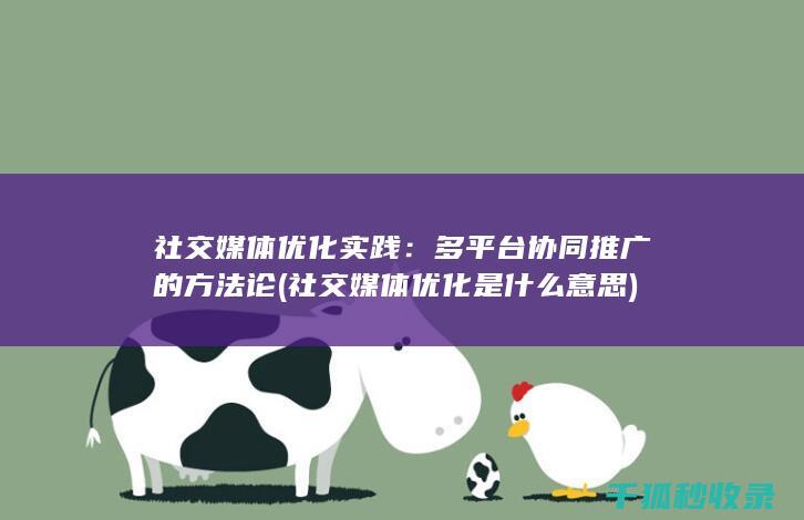社交媒体优化实践：多平台协同推广的方法论 (社交媒体优化是什么意思)