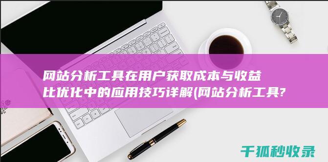 网站分析工具在用户获取成本与收益比优化中的应用技巧详解 (网站分析工具?)