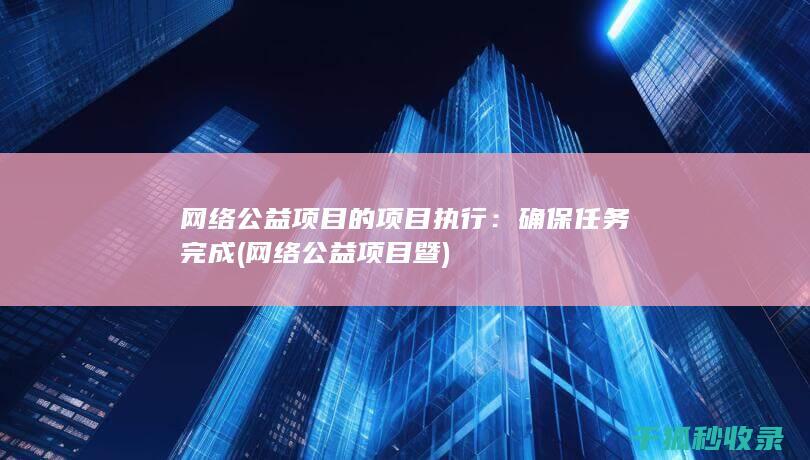 网络公益项目的项目执行：确保任务完成 (网络公益项目暨)