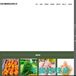 沈阳升鑫网络科技有限公司