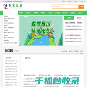 签证办理流程